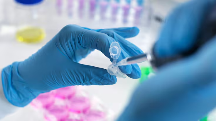 Inmunoterapia: potenciando el sistema inmunitario para combatir el cáncer de manera más eficaz