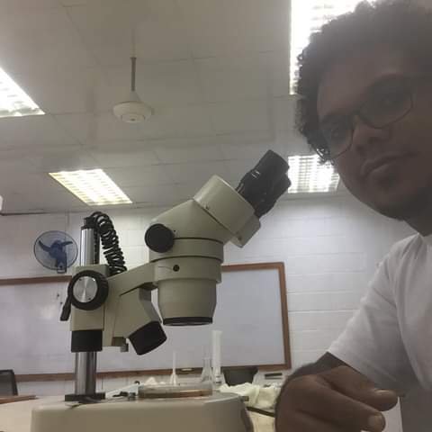 La miseria del cientificismo