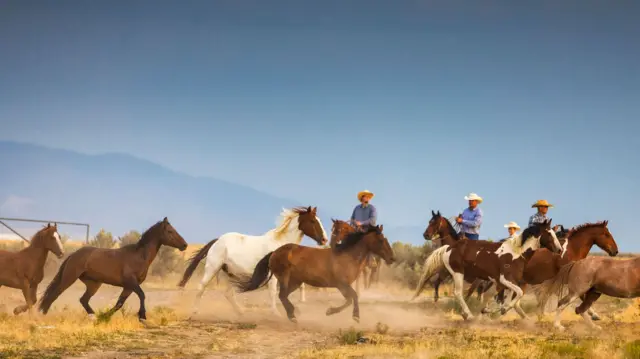 5 destinos turísticos que pueden “suplantar” a sitios emblemáticos de EE.UU. ante las restricciones de Trump a los viajeros (y cuál está en América Latina)