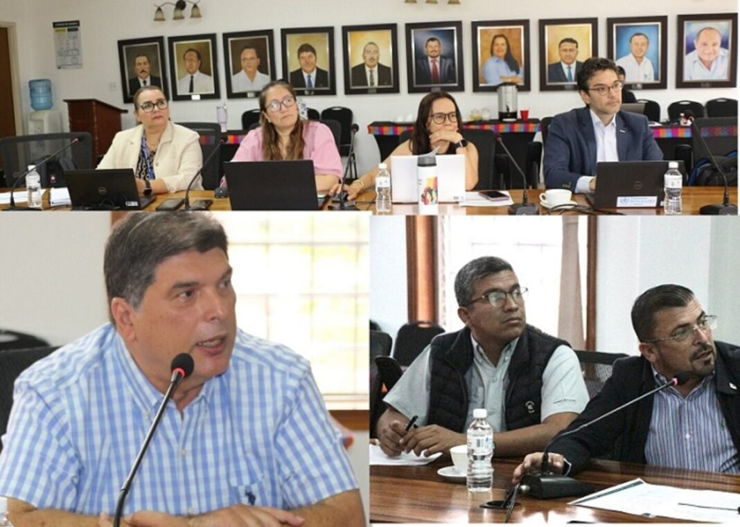 Abogacía con la Comisión de Salud de la AMHON para reforzar el abordaje de la Iniciativa de Eliminación de Honduras