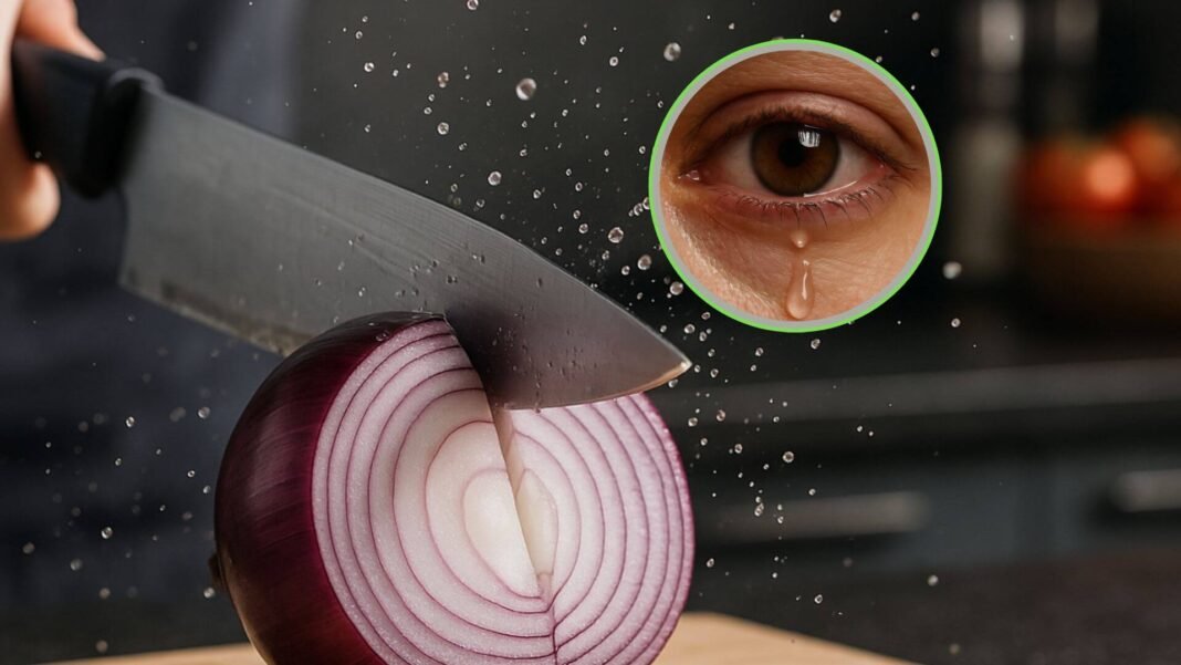 Se acabó el llorar cortando cebolla: físicos descubren que el truco está en el cuchillo y en estos cuatro consejos
