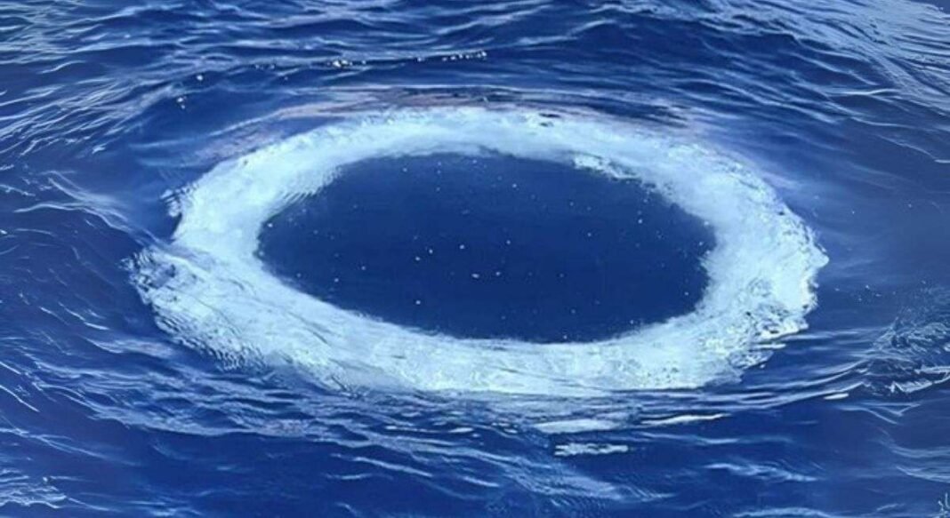 Aparecen decenas de anillos en el mar y la ciencia se pronuncia: podrían ser mensajes “de otra inteligencia”