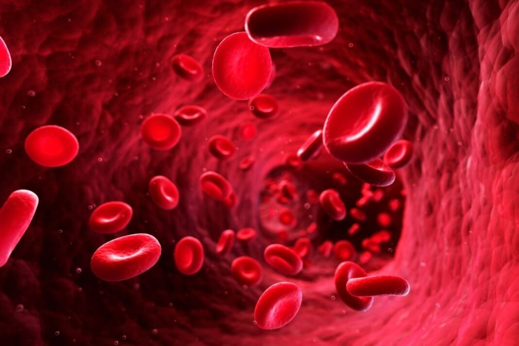 “Es la única persona en el mundo compatible consigo misma”: descubren un grupo sanguíneo inédito en una mujer de Guadalupe, jamás visto en otro ser humano