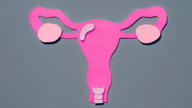 La sorprendente movilidad del útero y por qué es clave para el aparato reproductivo femenino