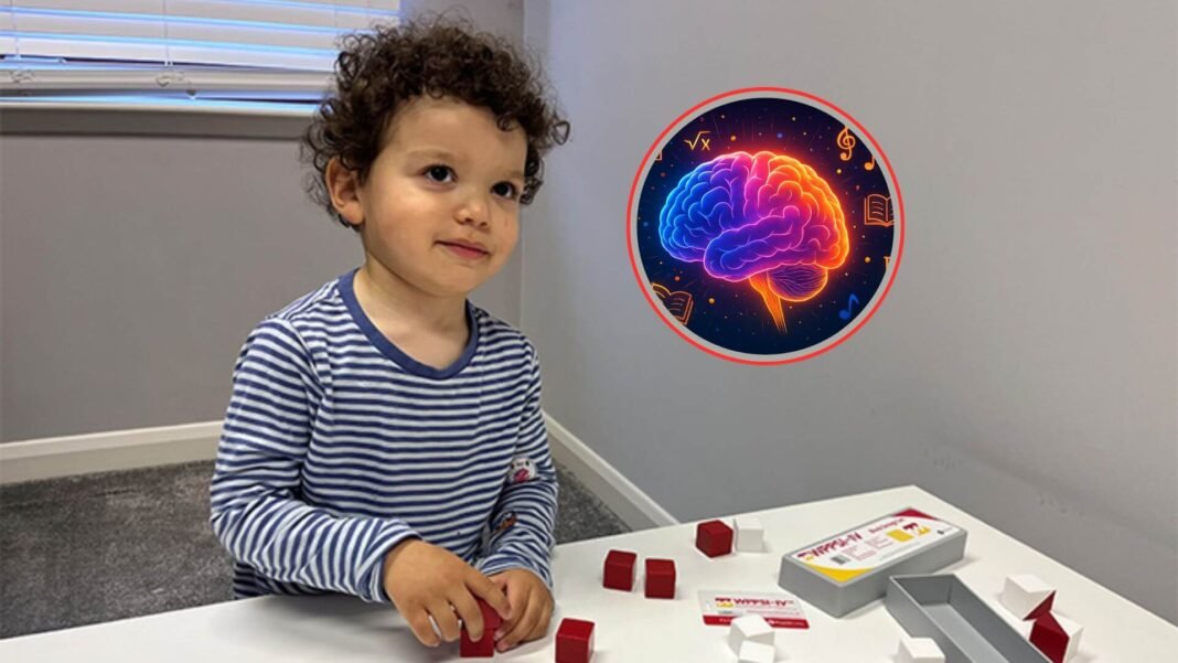 Niño prodigio de 2 años se convierte en el miembro más joven de MENSA, la asociación internacional de superdotados