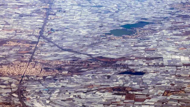 El controvertido “Mar de Plástico” que convirtió la región más árida de España en la huerta de Europa