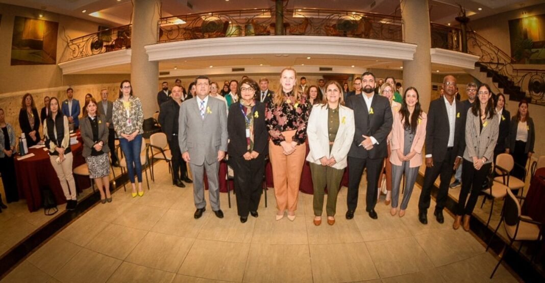 El Ministerio de Salud valida su Plan Nacional de Prevención del Suicidio con apoyo de OPS/OMS