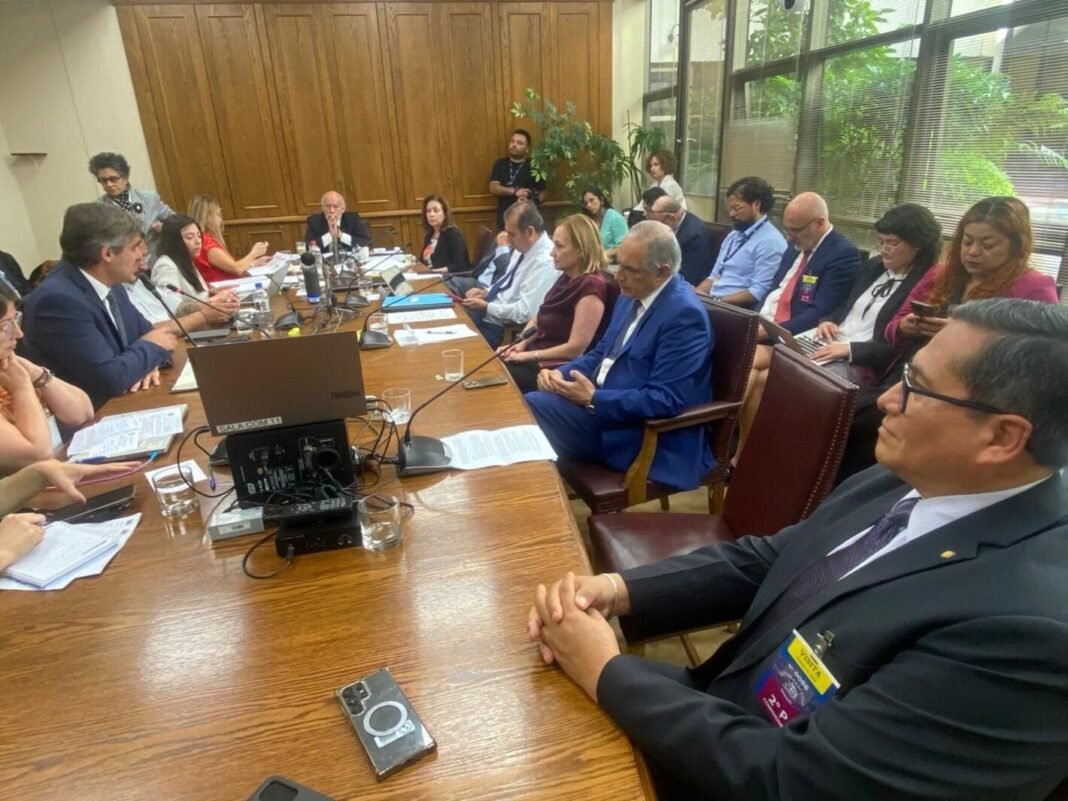 Chile avanza hacia el reconocimiento constitucional de la Alfabetización en Salud