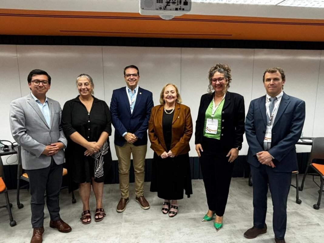 La atención primaria de salud y el enfoque de curso de vida para fortalecer la salud materna y neonatal en las Américas