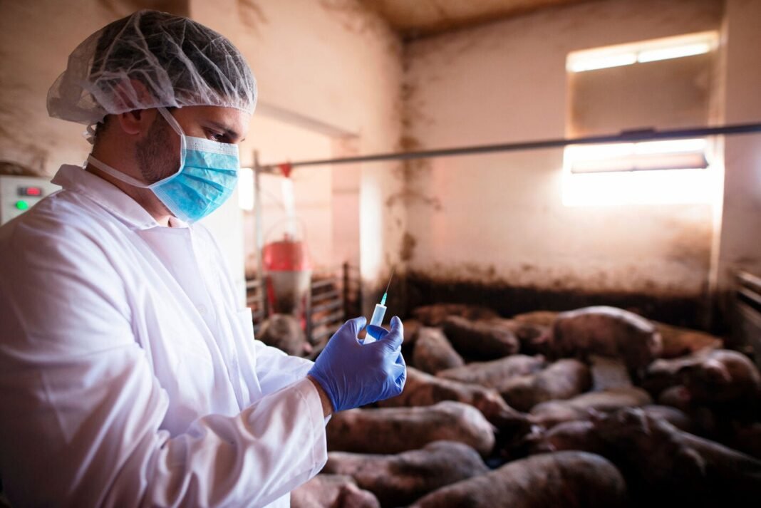 PANAFTOSA-OPS impulsa la formación regional con un nuevo curso en línea sobre resistencia a los antimicrobianos bajo el enfoque Una Sola Salud