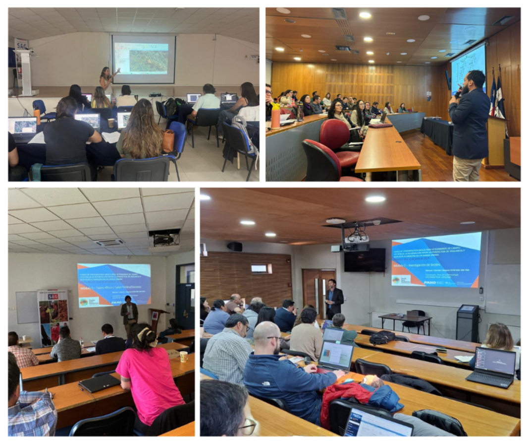 Chile fortalece la vigilancia sanitaria y el trabajo intersectorial a través de la capacitación en epidemiología aplicada bajo el enfoque de Una Salud