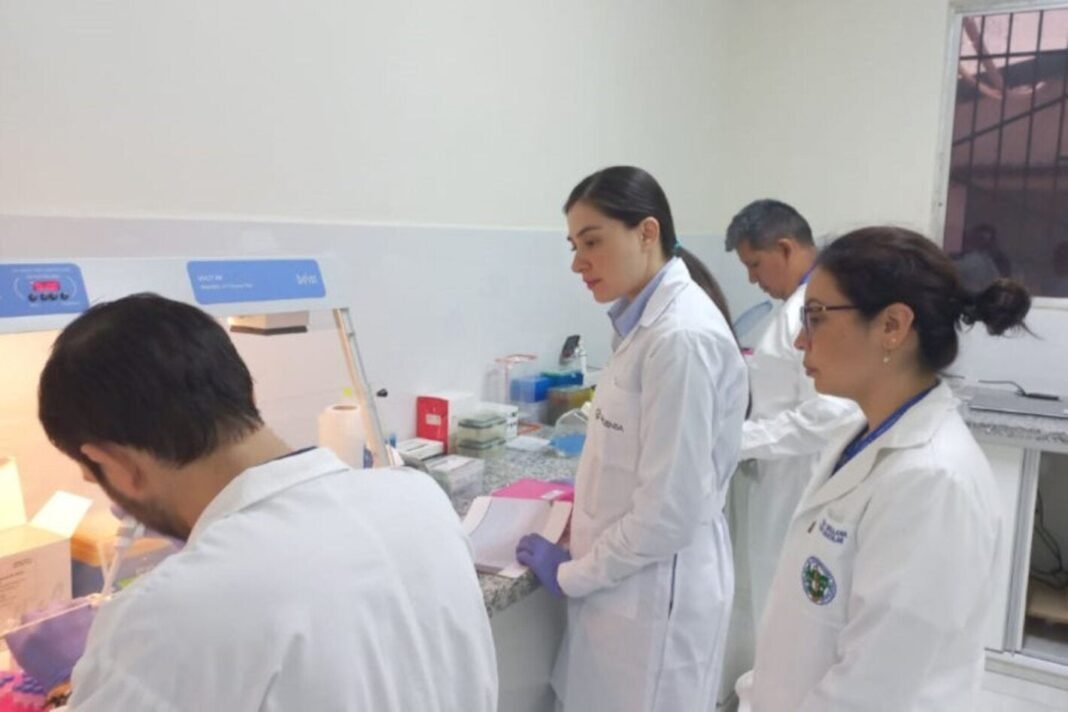 La OPS actualiza la situación del dengue en las Américas y recomienda reforzar la vigilancia y la preparación de los servicios de salud