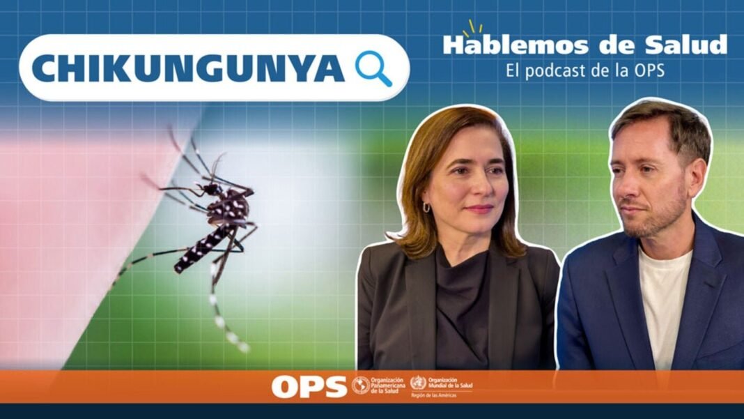 Chikungunya: La Resurgencia Silenciosa que Amenaza las Américas en 2026