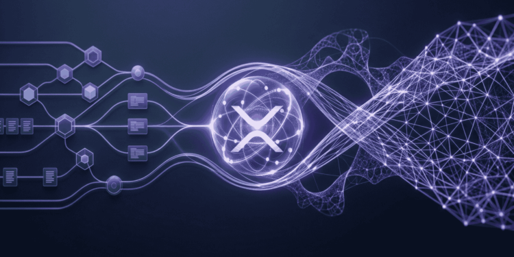 XRP Ledger Afronta el Desafio Cuantico Hoja de Ruta Hacia la Seguridad Post Cuantica Global