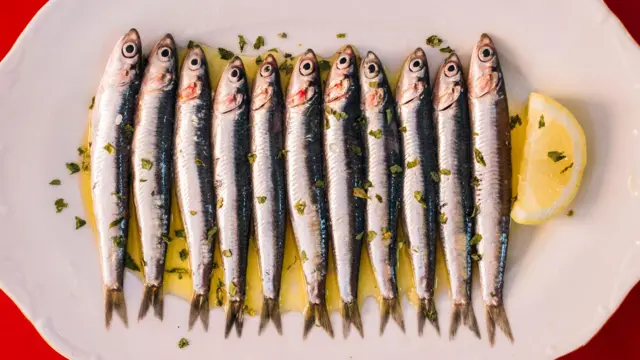 Las Sardinas El Superalimento Asequible y su Impacto Profundo en la Salud Global