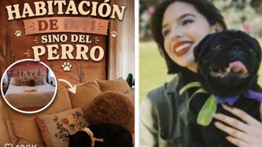 Controversia Digital: ¿Ángela Aguilar Utiliza la Habitación de la Hija de Nodal para su Mascota?