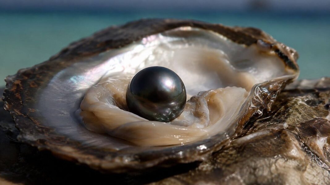 Biomineralizacion y Valor El Origen de la Perla Negra Codiciada Gema del Pacifico