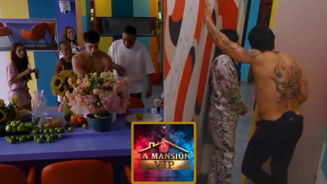 Crisis y Censura en La Mansion VIP Analisis de un Reality Bajo Presion Extrema