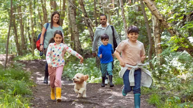 Naturaleza y Bienestar 20 Minutos que Transforman su Salud Integral