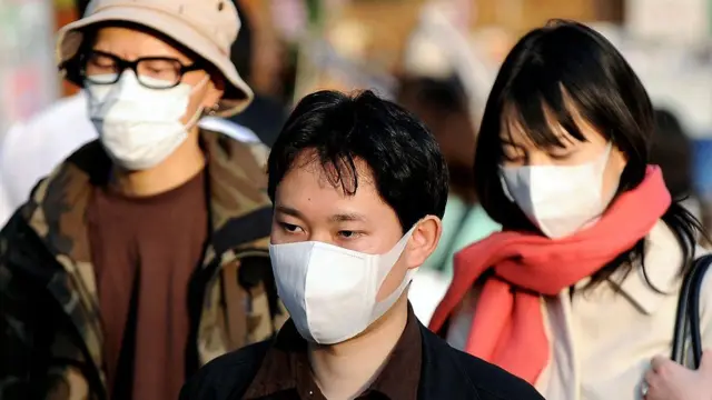 Japón Enfrenta una Crisis de Polinosis: La Herencia Ecológica de la Reconstrucción Post-Bélica