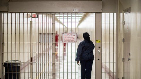 Liberación de Dreamer en Texas: El Precario Estatus de DACA y la Amenaza de Deportación en EE.UU.
