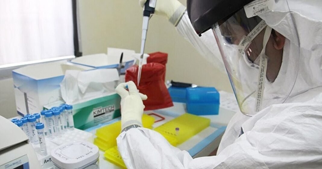 Ébola en África: La Alerta Global de la OMS y la Preparación Imperativa de las Américas