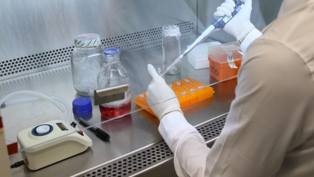 Refuerzo Regulatorio en Ensayos Clínicos: Un Eje Crucial para la Salud Global