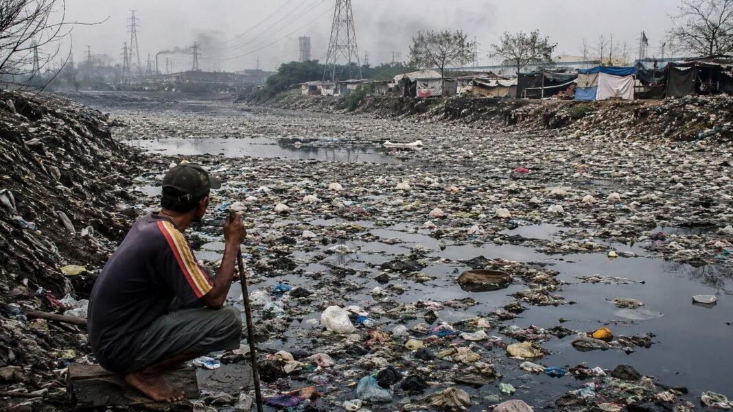 La Amenaza Invisible Quimicos Persistentes Contaminan Planeta Cuerpo Humano