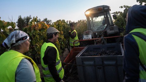 Restricción Migratoria Podría Lastrar Empleos y Salarios en Estados Unidos, Advierten Expertos