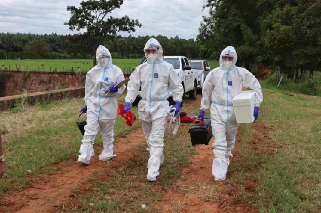 Paraguay Fortalece su Escudo Sanitario: Simulacro Estratégico contra la ‘Fiebre Aftosa’