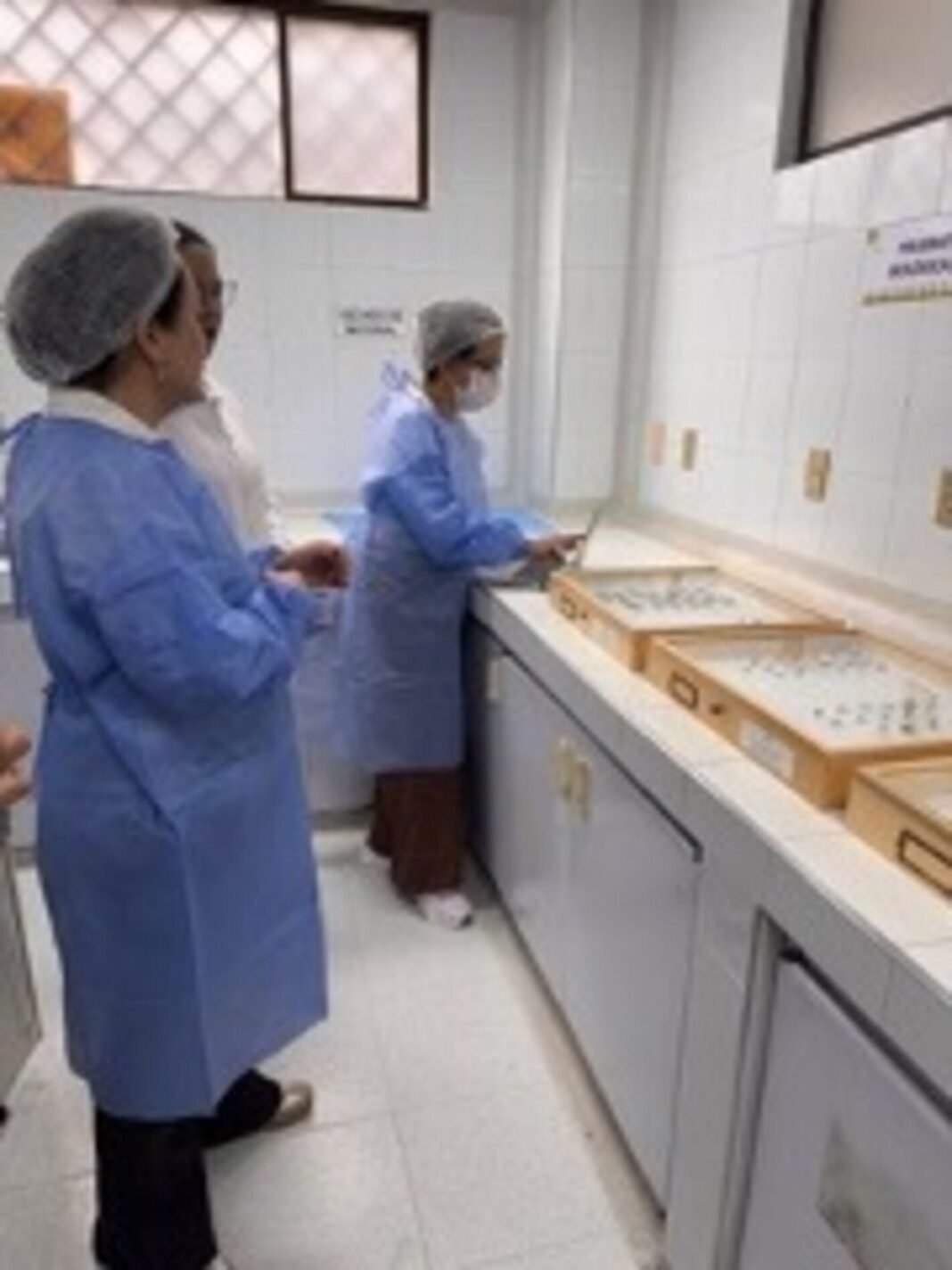 Colombia: Hito Regional en la ‘Erradicación del Chagas’ y Avance de Salud Pública