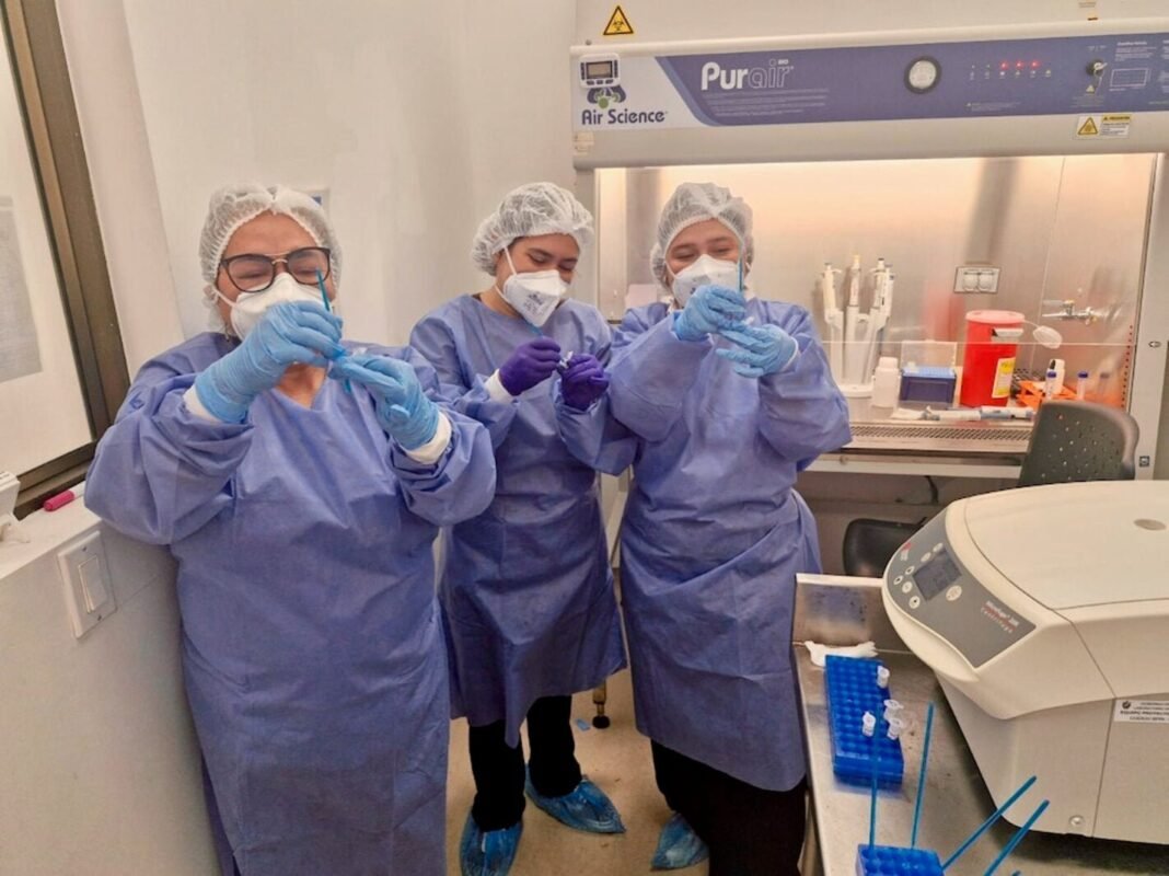Alerta Sanitaria en Colombia: OPS/OMS Refuerza Vigilancia contra la ‘Fiebre Amarilla’ en Tolima