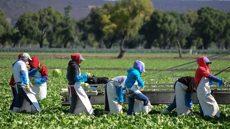 Alerta Alimentaria Internacional: El Desafío de la Trazabilidad en la Cadena de Suministro