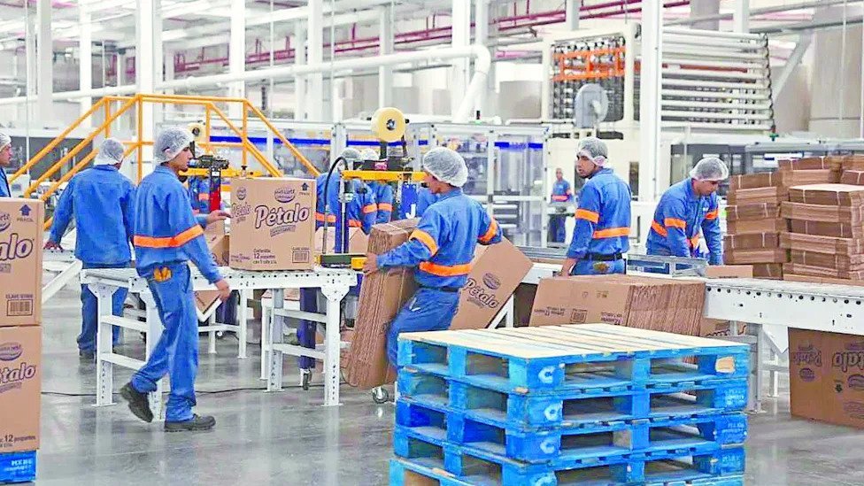Kimberly-Clark de Mexico Acelera Incursion en Marcas Propias ante Presion Economica Global
