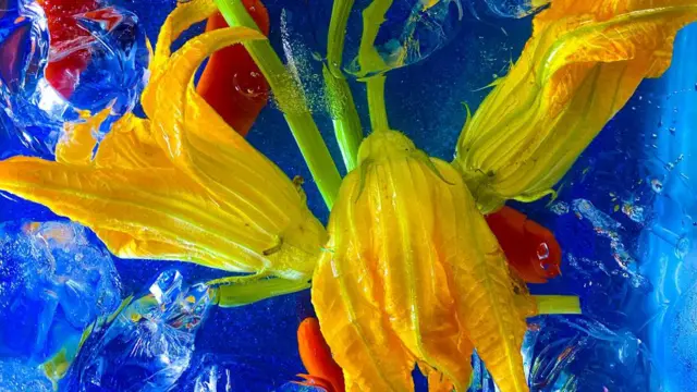 El Resurgimiento Global de las Flores Comestibles Nutricion Ancestral y Modernidad Culinaria