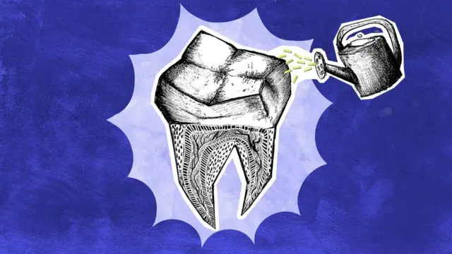 Regeneración Dental: La Vanguardia Científica Transforma el Paradigma Odontológico Global