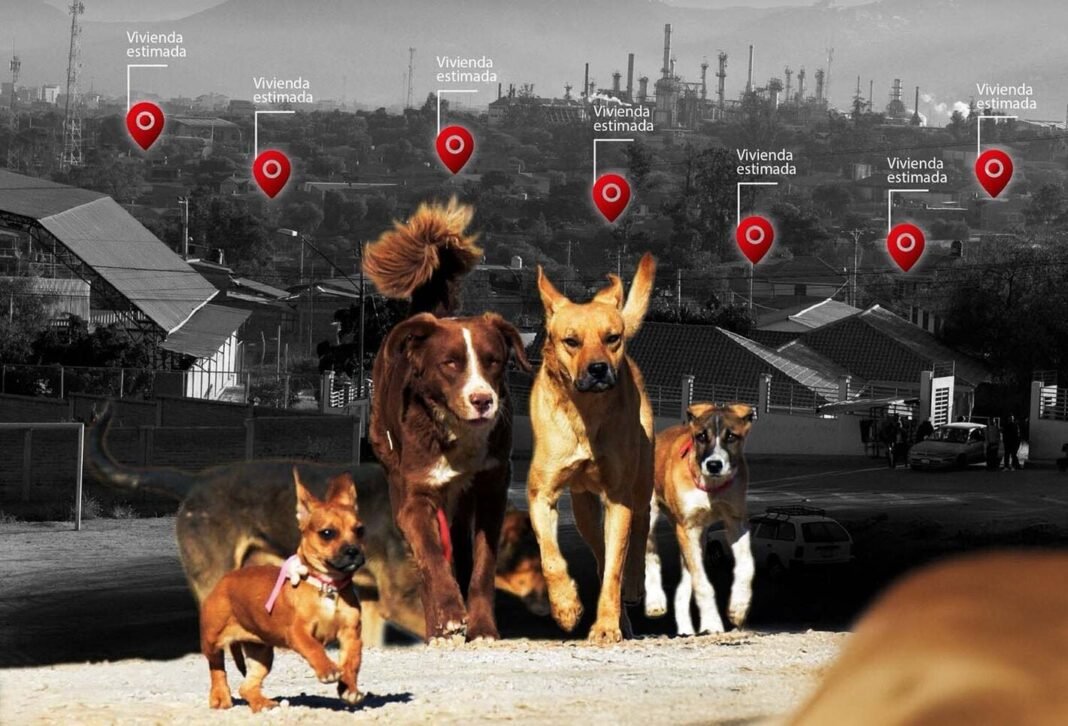 ‘PANAFTOSA’ y el Fortalecimiento del Control de Zoonosis en América Latina