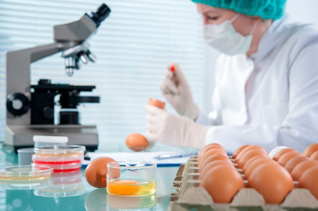 América Latina: Impulso Regional para Fortalecer la Inocuidad Alimentaria con Enfoque de Riesgos