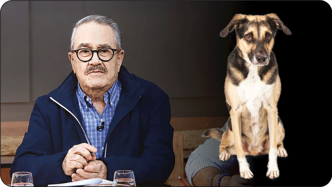 Pedro Sola y la ‘Tormenta’ Mediática: Declaraciones contra Animales Desencadenan Reacciones Globales y Posibles Implicaciones Legales