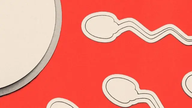 Infertilidad Masculina La Desatencion Cronica y sus Implicaciones Globales en la Salud