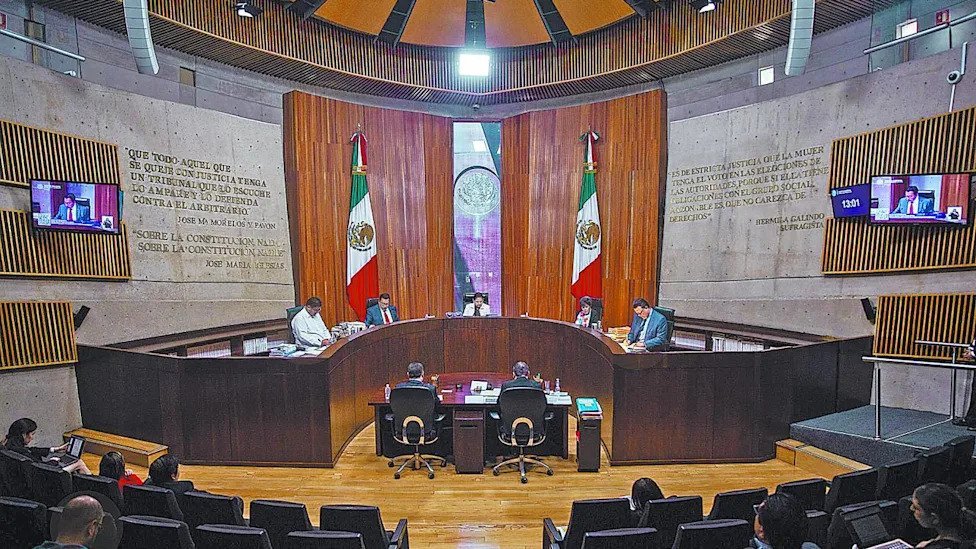 TEPJF Refrenda Sanción a ‘México Tiene Vida’ por Irregularidades Electorales