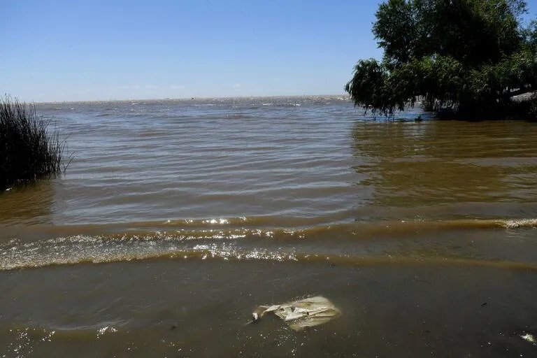El ‘Semáforo Ambiental’ Argentino: Un Avance Clave en el Monitoreo Participativo de Ecosistemas Hídricos Regionales