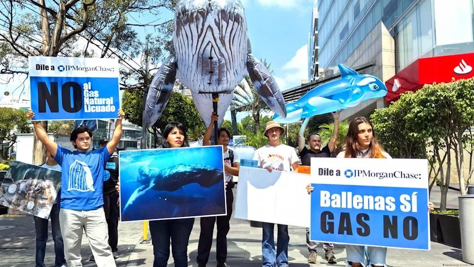 Golfo de California: La ‘Encrucijada’ entre el Gas Licuado y la Preservación Ecológica