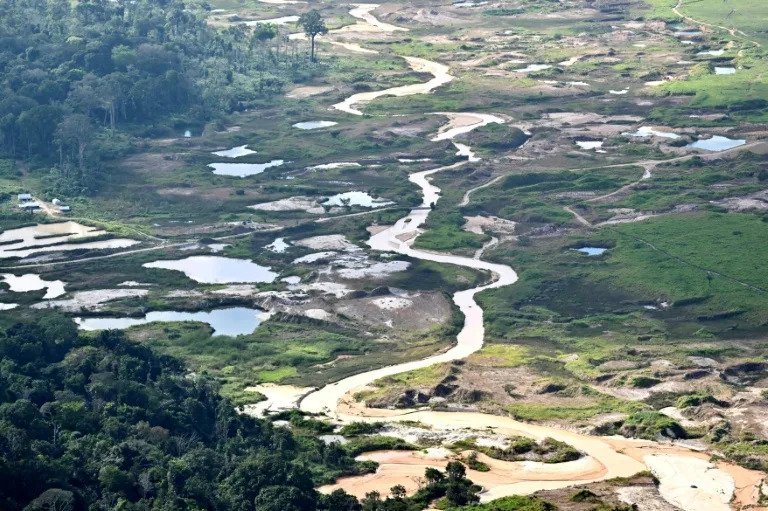 Brasil frente a un El Niño Extremo: la Crítica Pérdida de su Vegetación Nativa