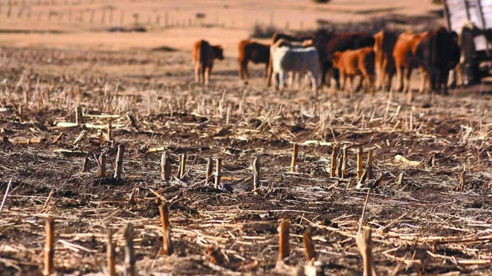 El Salvador Declara ‘Alerta Roja’ por Sequía Extrema: Implicaciones Regionales de El Niño y la Crisis Climática El Salvador Declara Alerta Roja por Sequia Extrema Implicaciones Regionales de El Nino y la Crisis Climatica