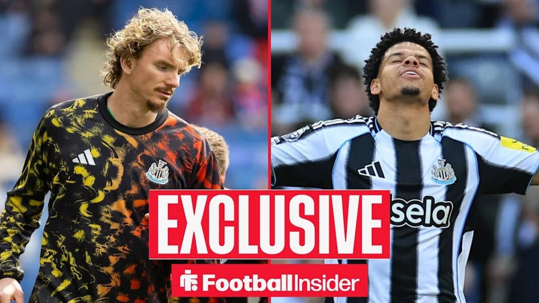 Nick Woltemade: El Futuro del Delantero de Newcastle Nick Woltemade