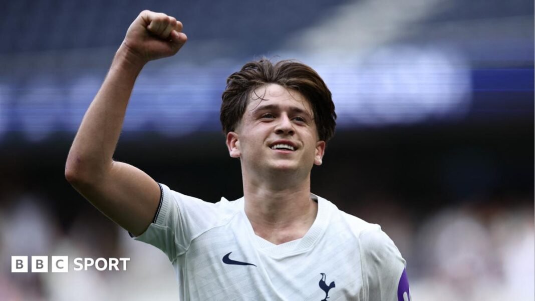Tottenham Gana 3-0 a Hoffenheim en Amistoso de Pretemporada