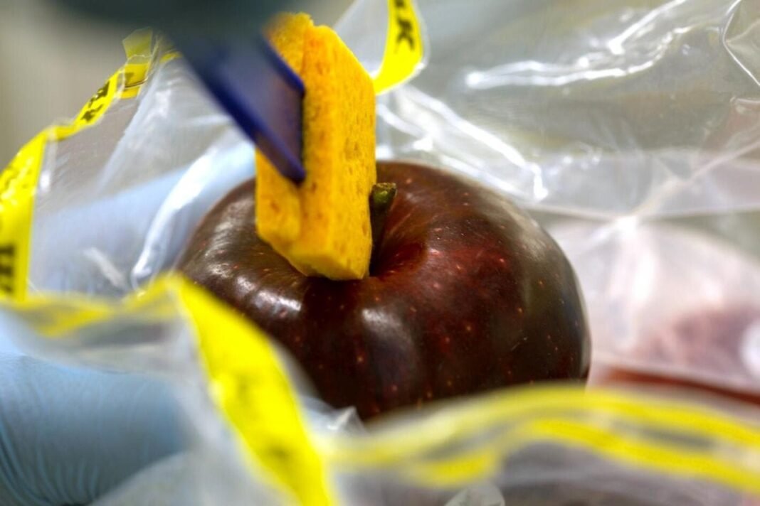 ‘Refuerzo Estratégico’: CNRIBA se Une a RILAA para Blindar la Inocuidad Alimentaria en las Américas Refuerzo Estrategico CNRIBA se Une a RILAA para Blindar la Inocuidad Alimentaria en las Americas