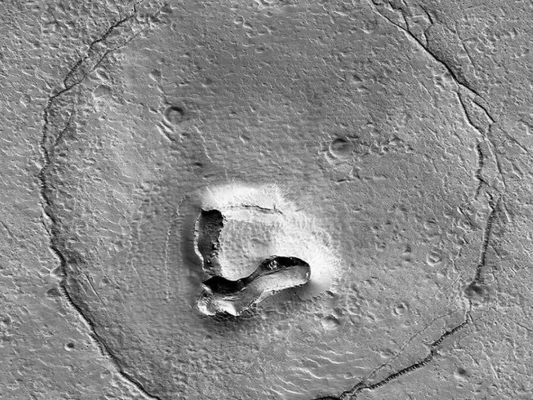 Pareidolia en Marte La Ciencia Desvela el Origen del Oso Cosmico Observado por la NASA