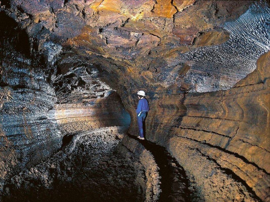 La Cueva del Viento en Tenerife: Un Santuario Biológico Subterráneo Milenario Revela Adaptaciones Únicas La Cueva del Viento en Tenerife Un Santuario Biologico Subterraneo Milenario Revela Adaptaciones Unicas